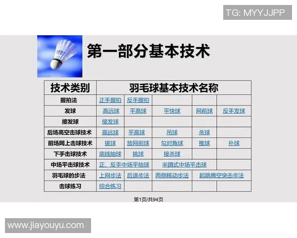 南京羽毛球队战术解析:灵活转换体系的应用与实践探讨 南京羽毛球队战术解析:灵活转换体系的应用与实践探讨